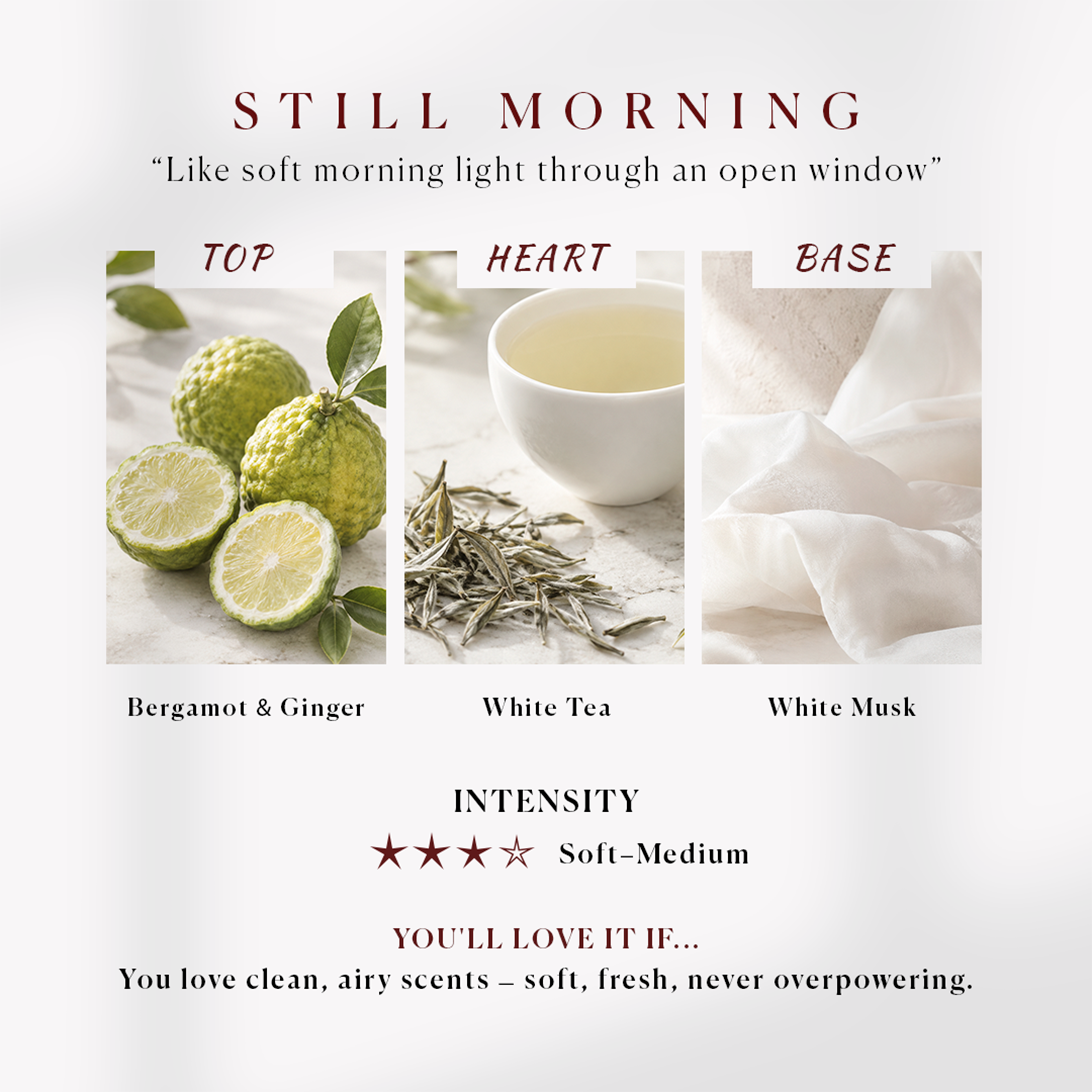 Scent Notes