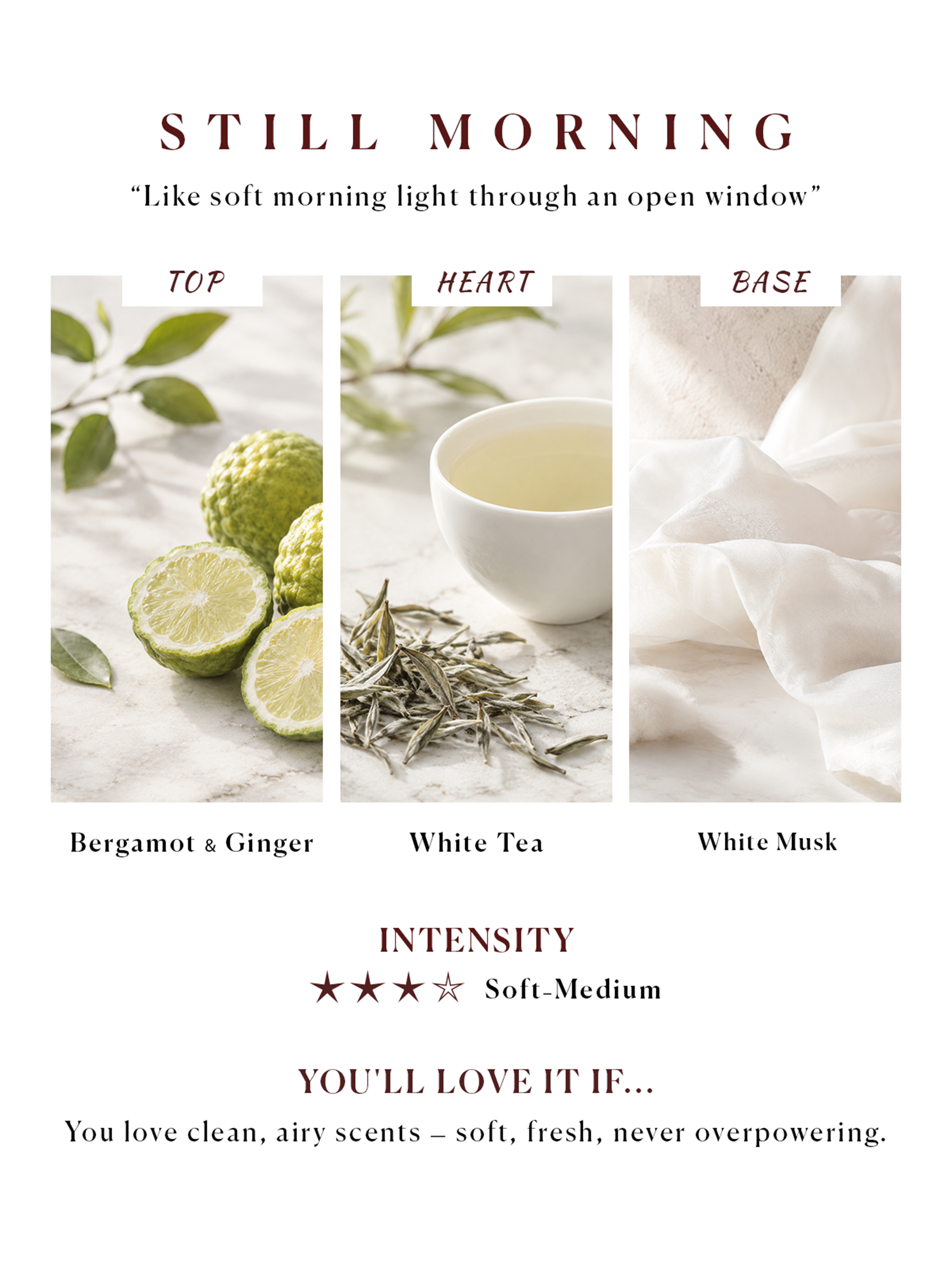 Scent Notes